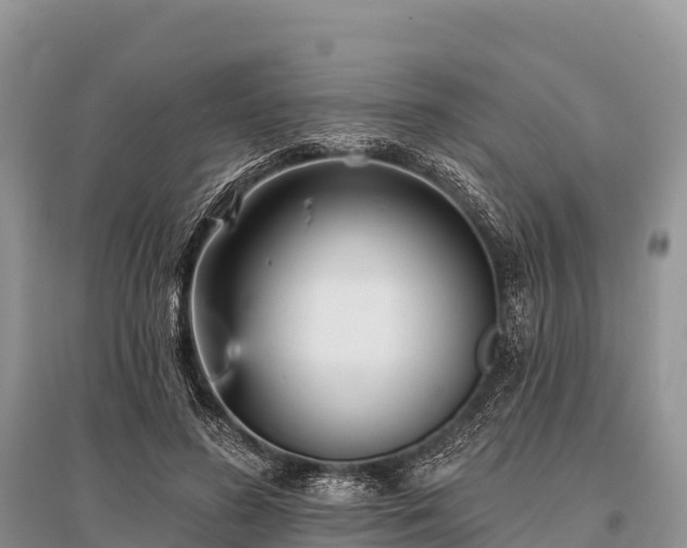 X0000096150596200801251106