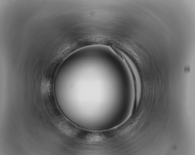X0000096150597200801251106