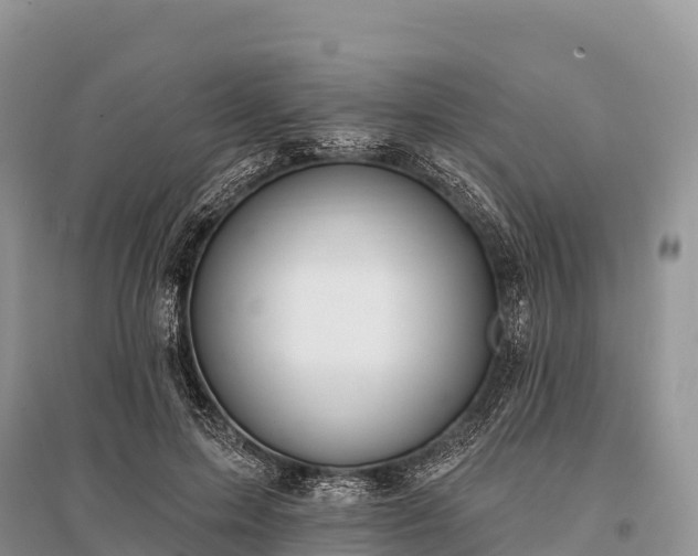X0000096150599200801251106
