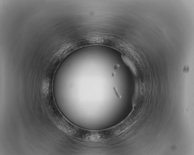 X0000096150600200801251106