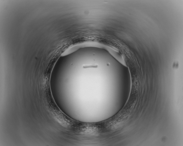 X0000096150601200801251106
