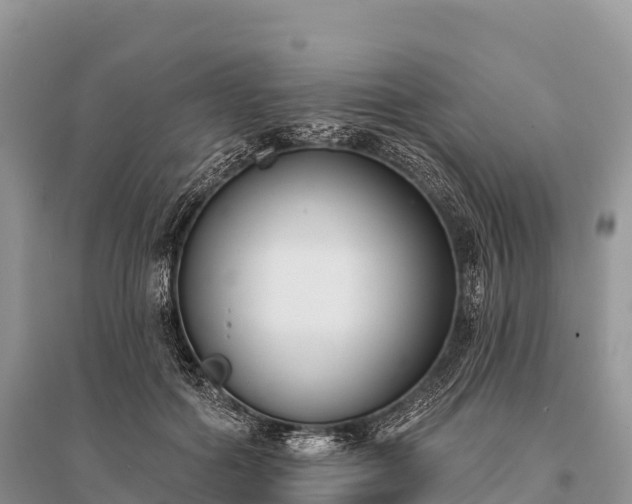 X0000096150602200801251106