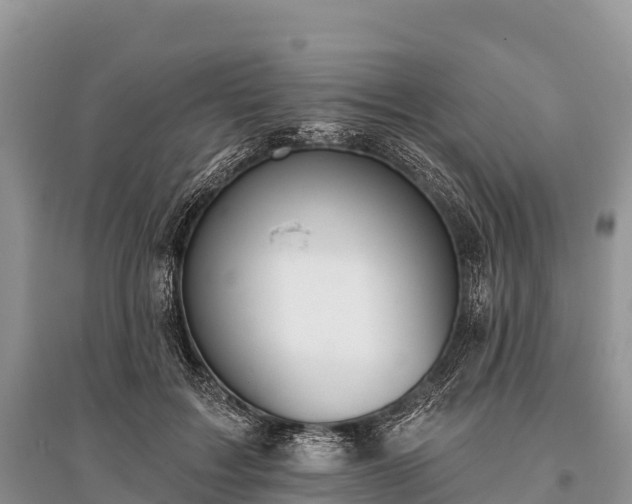 X0000096150603200801251106