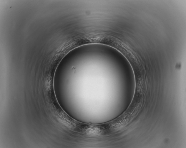 X0000096150604200801251106
