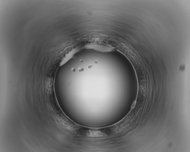 X0000096150605200801251106