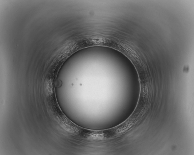X0000096150606200801251106