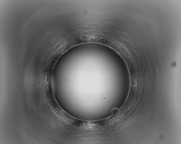 X0000096150607200801251106
