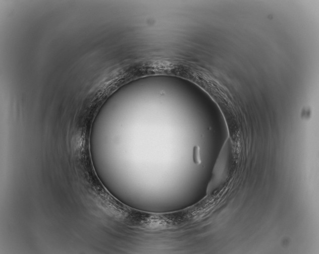 X0000096150608200801251106