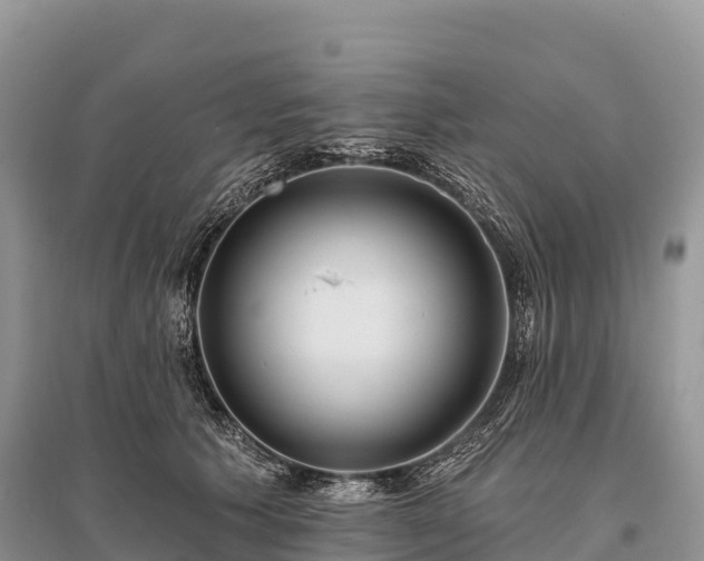X0000096150609200801251106