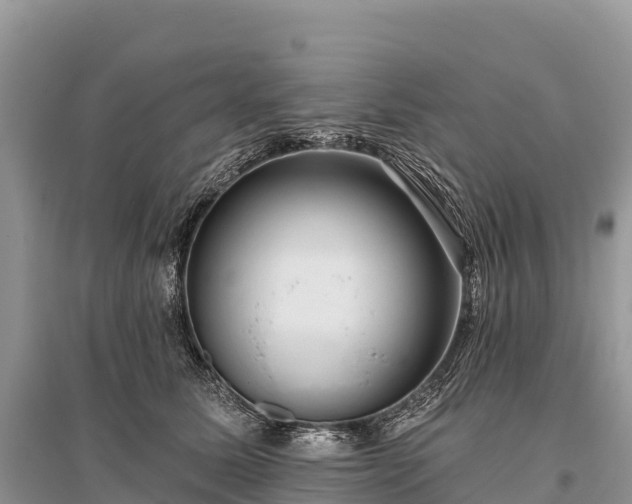 X0000096150611200801251106