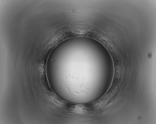 X0000096150612200801251106