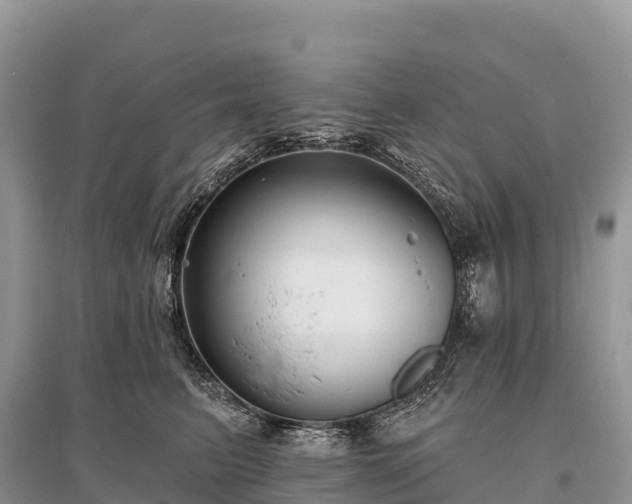 X0000096150615200801251106