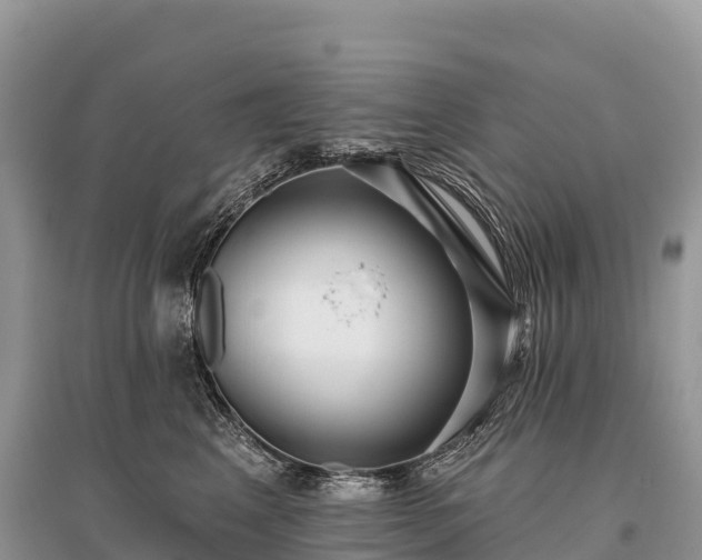X0000096150617200801251106