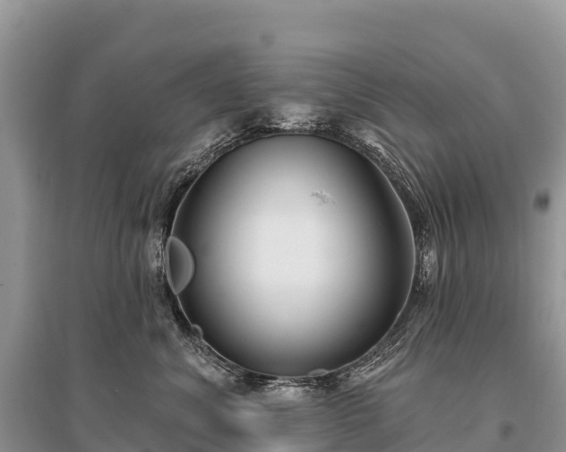 X0000096150620200801251106
