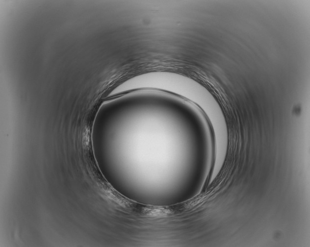 X0000096150621200801251106