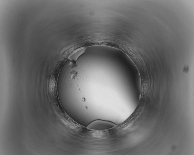 X0000096150623200801251106