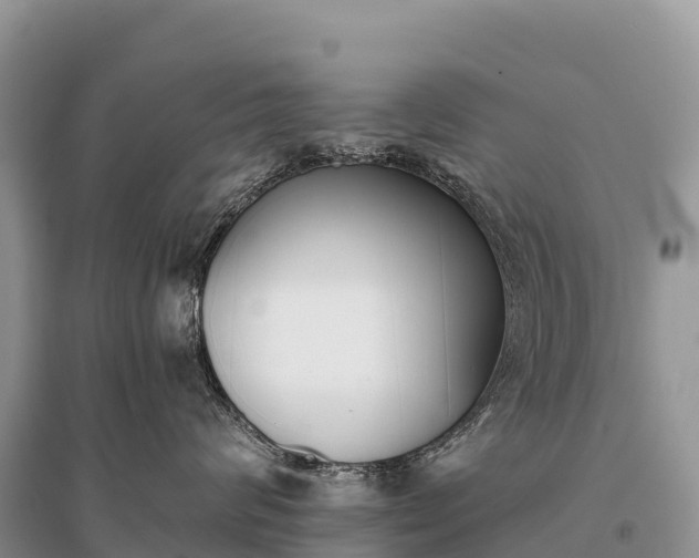 X0000096150624200801251106