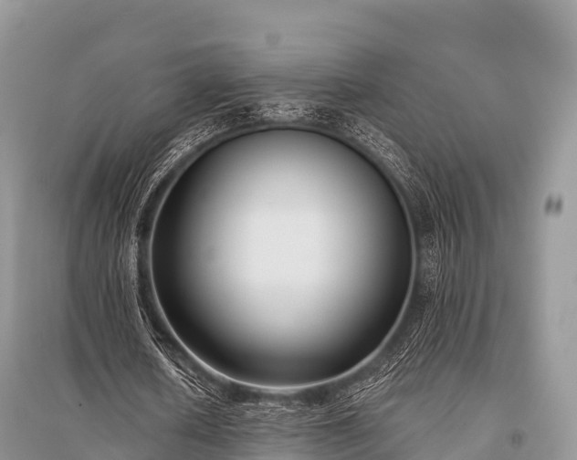 X0000096150626200801251105