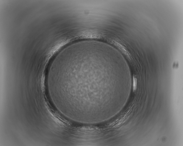 X0000096150627200801251105