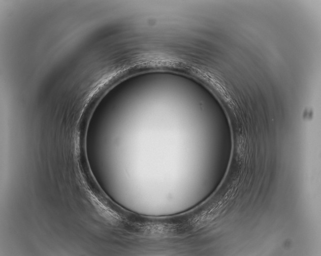 X0000096150629200801251105