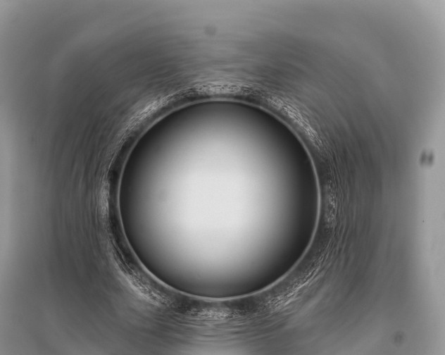 X0000096150631200801251105