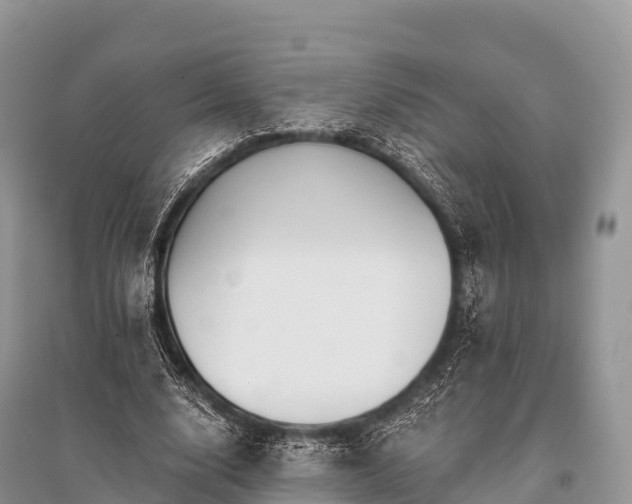 X0000096150632200801251105