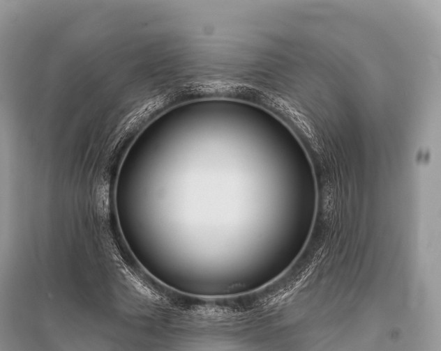 X0000096150633200801251105