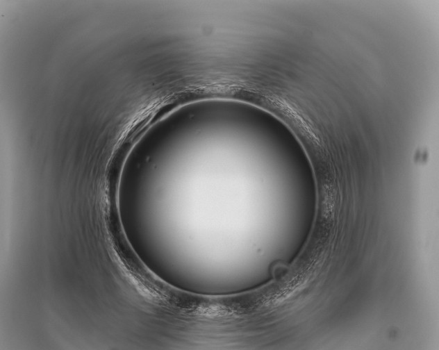 X0000096150634200801251105