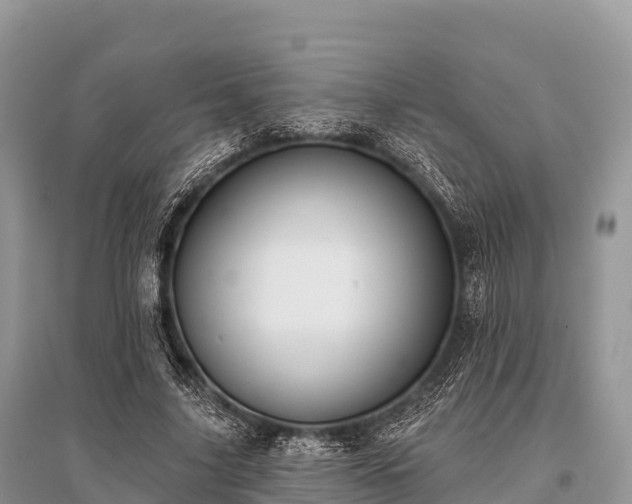 X0000096150635200801251105