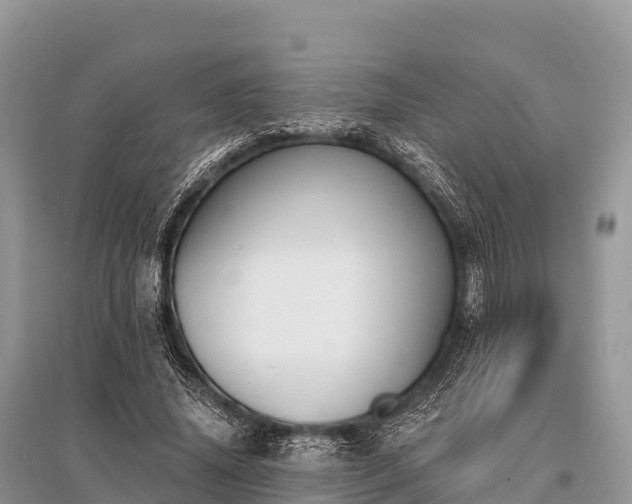 X0000096150636200801251105