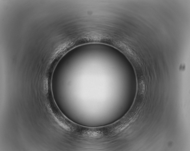 X0000096150638200801251105