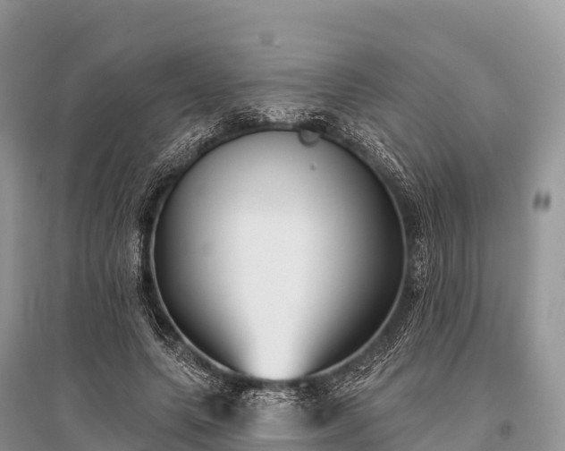 X0000096150639200801251105