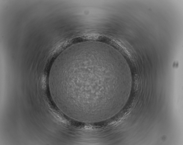 X0000096150641200801251105