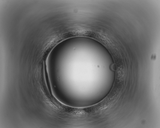 X0000096150642200801251105