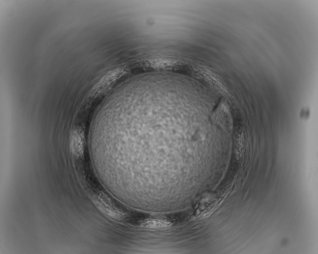 X0000096150644200801251105
