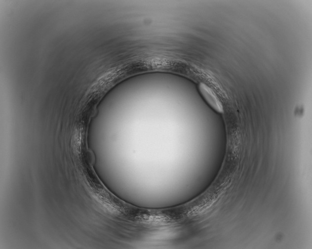 X0000096150645200801251105