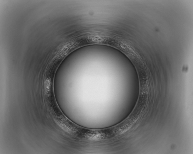 X0000096150646200801251105