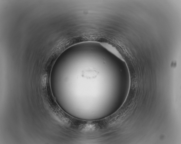 X0000096150647200801251105