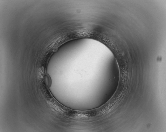 X0000096150649200801251105
