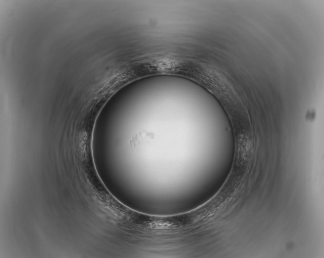 X0000096150650200801251105