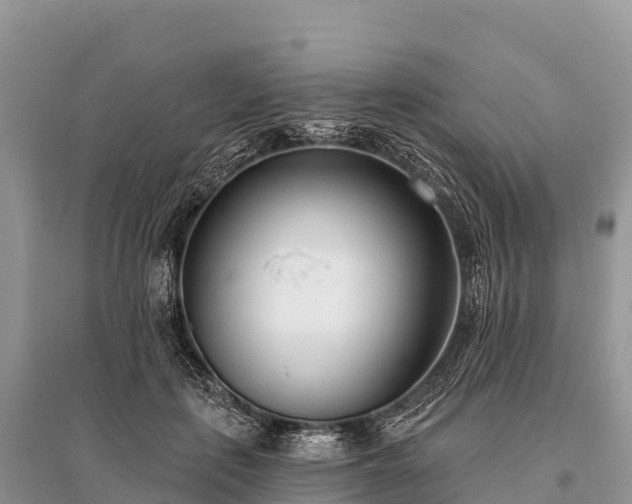 X0000096150651200801251105