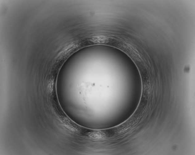 X0000096150652200801251105
