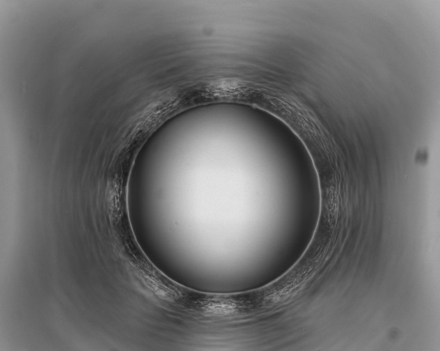 X0000096150653200801251105
