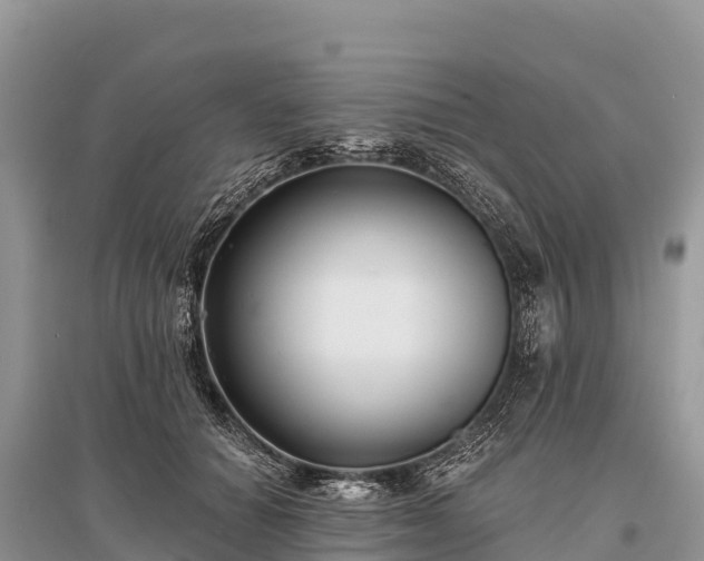 X0000096150654200801251105