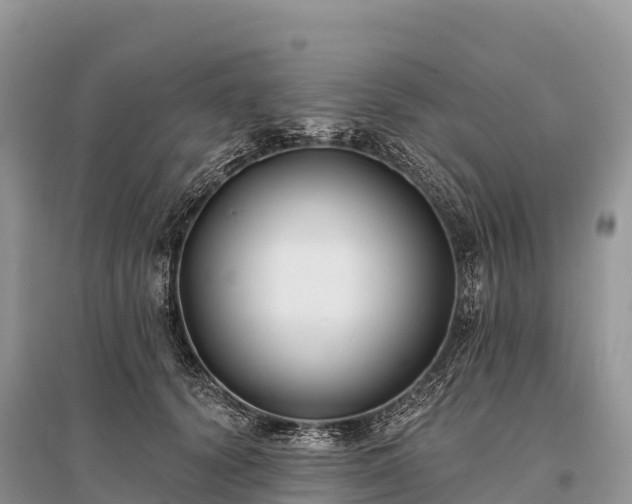 X0000096150656200801251105