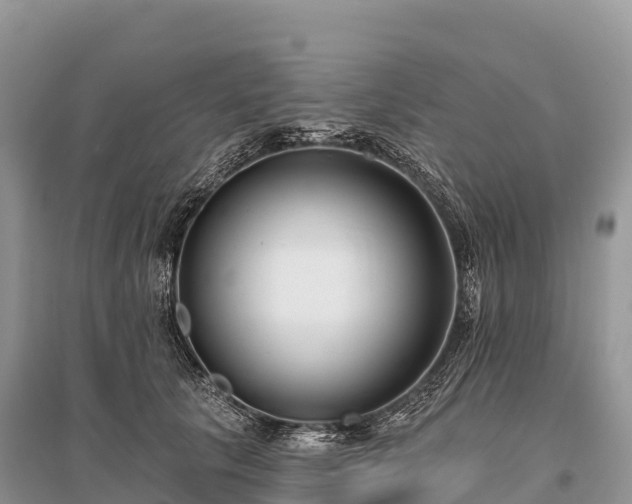 X0000096150657200801251105