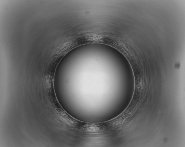 X0000096150658200801251105