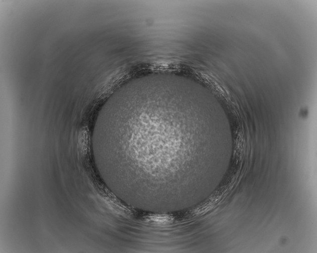 X0000096150659200801251105