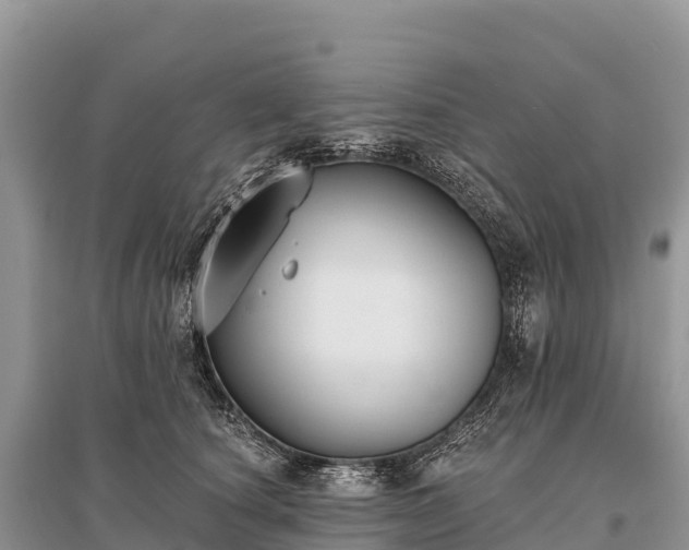 X0000096150660200801251105