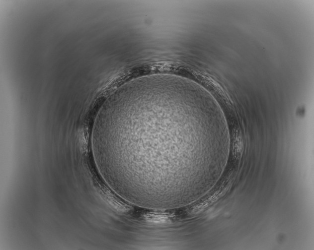 X0000096150661200801251105
